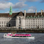 London Eye: River Cruise