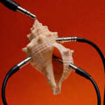 ZABRA - Sound Ecologies from Carincur