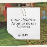 Cata Olfativa: Aromas de un Verano