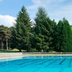 Tirolinas de Pino a Pino + Día de piscina