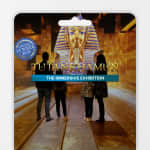 Tutankhamun: The Immersive Exhibition - Gift Card
