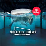Phoenix des Lumières Kombi-Ticket