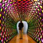 Visita el Centro de Arte Hortensia Herrero