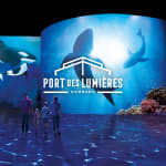 Port des Lumières Kombi-Ticket