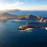 Scenic Cape Point Helicopter Tour from Cape Town