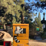 Downtown Reno Tour