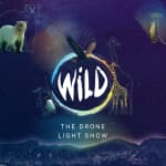 WILD: The Drone Light Show - Ipswich