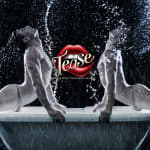 Tease at 1604 Broadway