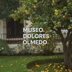 Museo Dolores Olmedo - Lista de espera