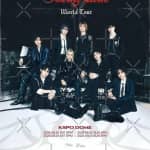 Stray Kids: The dominATE Experience