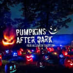 Pumpkins After Dark - Waitlist