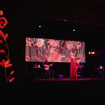 Fado in Chiado, espetáculo de fado ao vivo em palco há 15 anos.