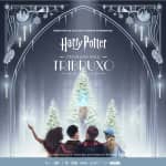 Harry Potter™: Um Grande Baile Tribruxo - Lista de espera