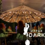 Paradox After Dark