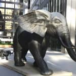 PATH - A Walking Tour of Toronto's Underground City