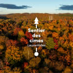 Sentier des cimes Laurentides - Day tickets