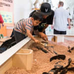 Natural History Museum of Los Angeles County: Entry Ticket