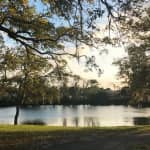 Peacocks, Presidents and Puzzles - The Winter Park Walking Tour + Boat Tour
