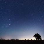 Stargazing & Night Skies with Pfeiffer Wines