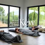 Respiración Consciente en la Naturaleza en los Reales Jardines Botánicos de Kew