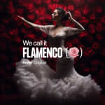 ﻿We call it Flamenco: a unique Spanish dance show
