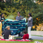 World Cup Finals Screening at Queens Botanical Garden