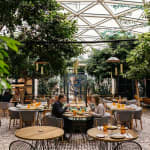 Madrid en Nueve Pases | Café de la Plaza