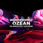 The Wonders of the Ocean - An Immersive Dive
