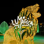 Lumagica München - Carnival of Lights - Warteliste