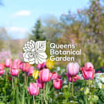 Queens Botanical Garden