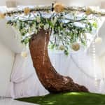 Tour de Fotos de Boda en Las Vegas para hasta 14 invitados