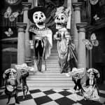 Noche del Franz | Baile surreal