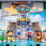 PAW Patrol Live! Het Grote Piratenavontuur - Groningen - Wachtlijst