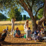 Filoli Gardens Summer Nights