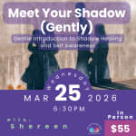 Meet Your Shadow (Gently)