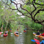 Half day kayak and paddle board rentals on the scenic Dora Canal