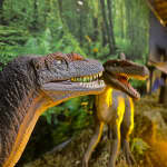Viven Dinosaurios San Luis
