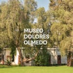 Dolores Olmedo Museum - Waitlist