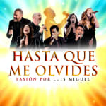 Hasta que me olvides