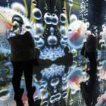 Origins: Ursprung des Lebens