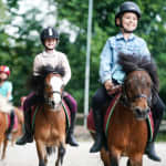 ﻿Birthday among the ponies (10 children)