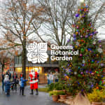 Winter Wonder at Queens Botanical Garden