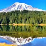 Excursión de un día en grupo reducido al Parque Nacional del Monte Rainier desde Seattle