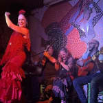 Tablao Flamenco El Toro y la Luna Espectáculo & Cena & Bebida