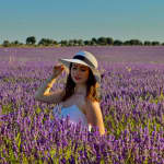 Excursión a Los Campos de Lavanda 🟣🐝☂️