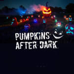 Pumpkins After Dark - Waitlist