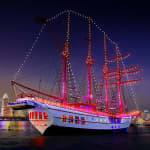 Royal Albatross City Lights Dinner Cruise