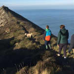 Guided walk on the remote and wild North Cornish coast