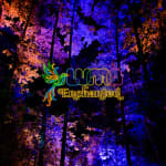 LUMA Enchanted: A Whimsical Sensory Night Walk