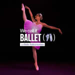﻿We call it Ballet: Sleeping Beauty in a Dance and Light Show